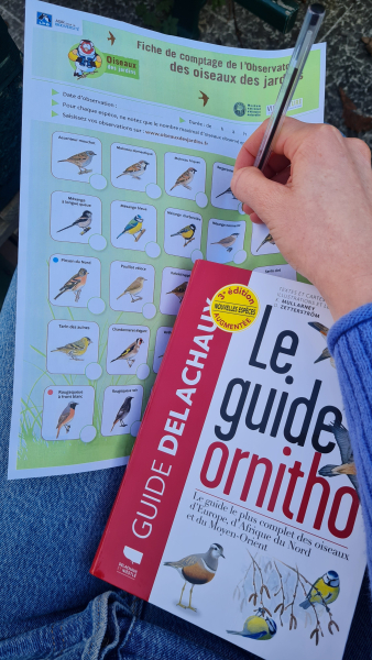 Fiche comptage ODJ et guide ornitho